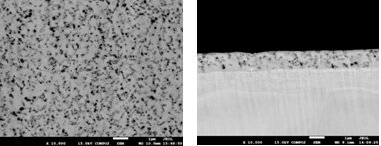 カーボン分散ニッケルめっきのSEM像（左：表面、右：断面）の画像