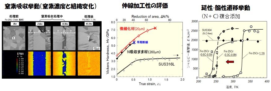 固相窒素吸収法によるNiフリー高窒素γ系ステンレス鋼の創製と評価術の画像