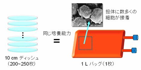 セラミックス担体を組み込んだ細胞培養バッグの試作品の画像