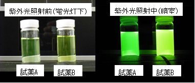 新規蛍光試薬の画像