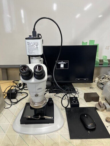 実体顕微鏡の画像