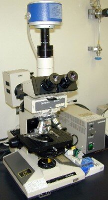 蛍光顕微鏡装置システムの画像